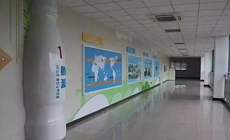 春意盎然，活力蘇州 從草莓采摘到千人徒步，一周熱門活動指南（2.27-3.5）